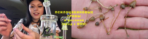 кокс Арсеньев