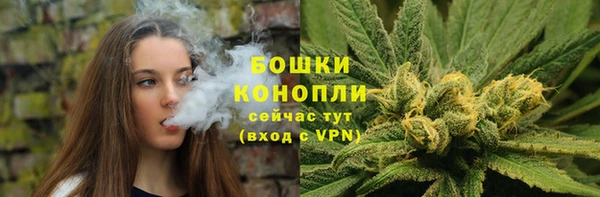 амф Аркадак